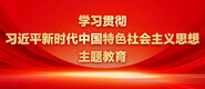 大鸡吧操你逼视频学习贯彻习近平新时代中国特色社会主义思想主题教育_fororder_ad-371X160(2)